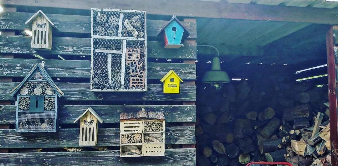 De Linderd Bed & Breakfast Алст Екстериор снимка